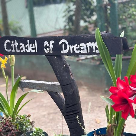 Citadel Of Dreams Ella Apartment Bagian luar foto