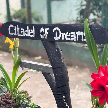Citadel Of Dreams Ella Apartment Bagian luar foto