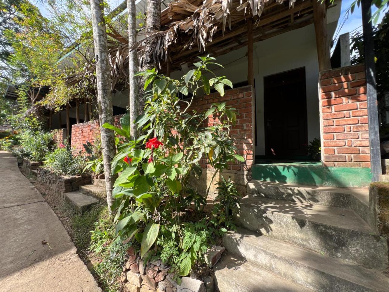 Citadel Of Dreams Ella Apartment Bagian luar foto