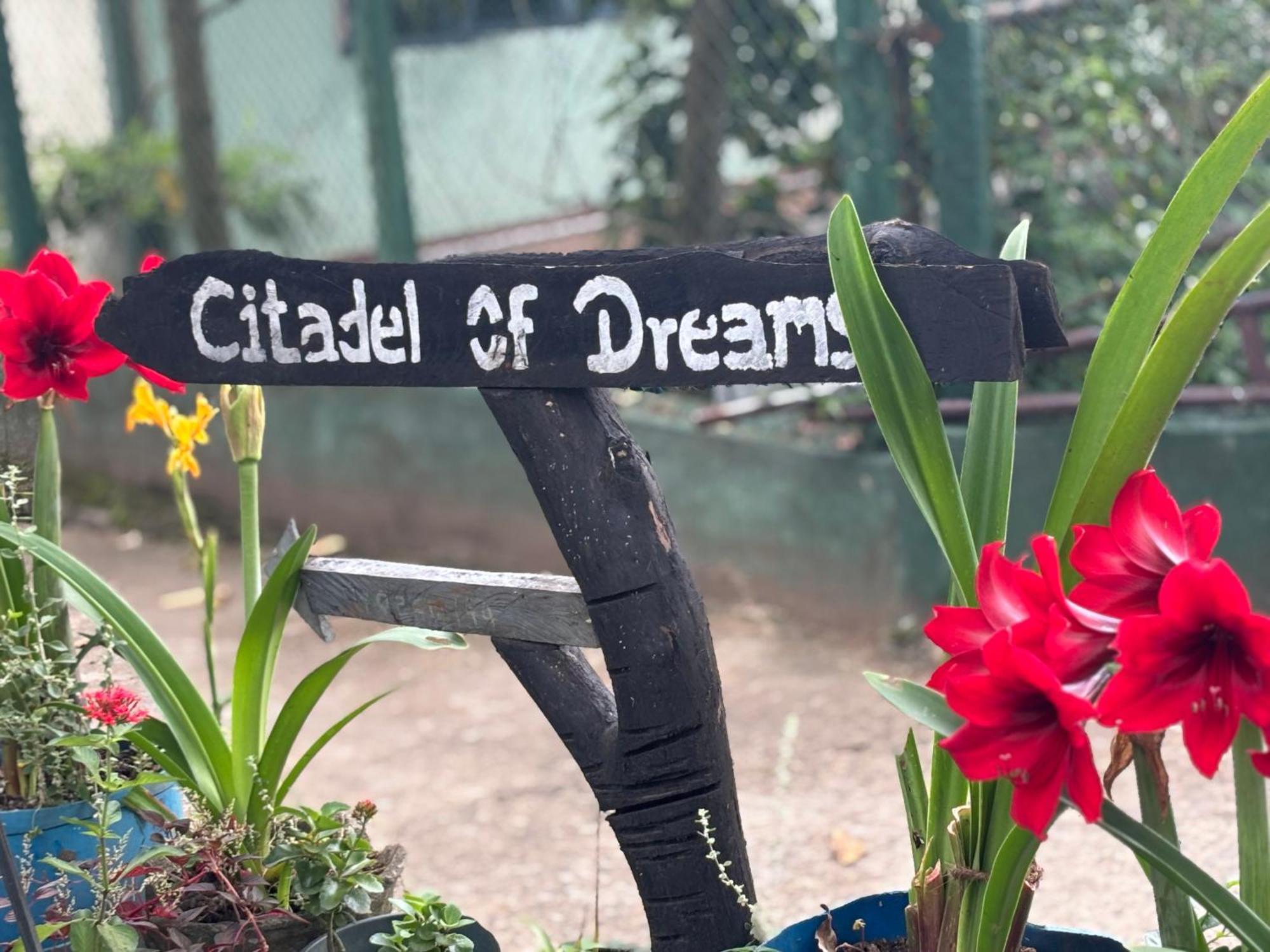 Citadel Of Dreams Ella Apartment Bagian luar foto
